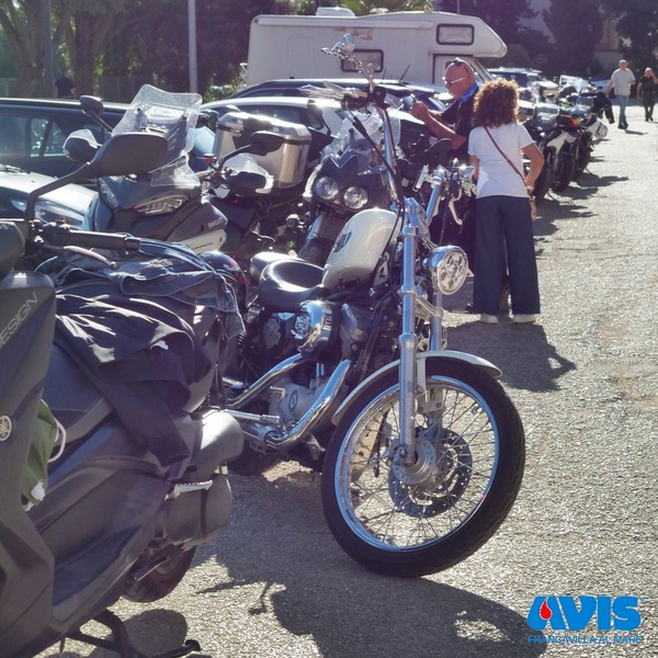 543351943 1124517143109682 5766601302495582413 n