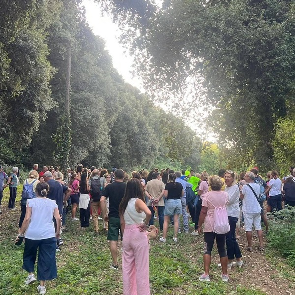 545883903 1132639178964145 4966828978899565455 n