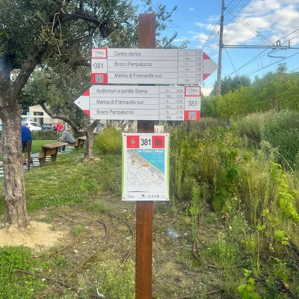 546404388 1132639325630797 3912600528243329676 n