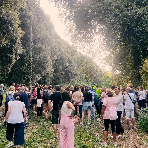 547674848 1132620702299326 9139475643077510118 n